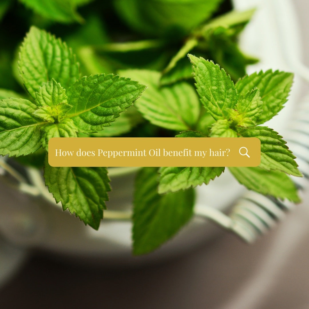 How peppermint oil increases hair growth