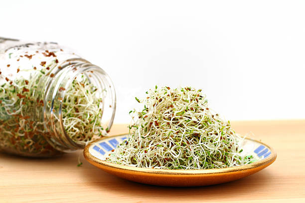 Alfalfa for Haircare: Benefits and How to Use in a Hair Routine.